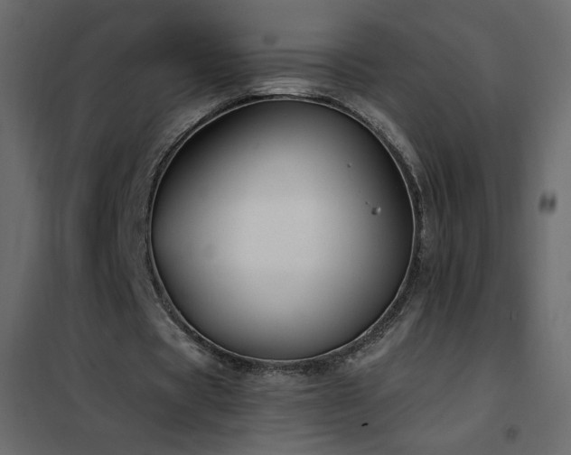 X0000102540529200808081524