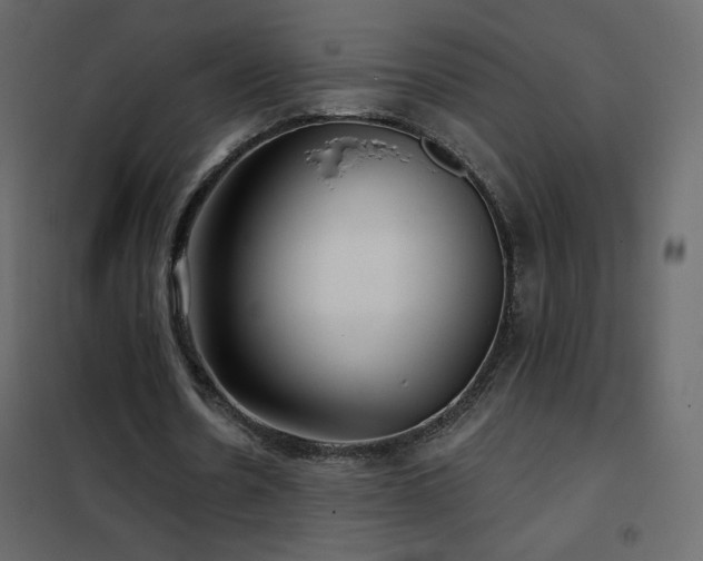 X0000102540530200808081524
