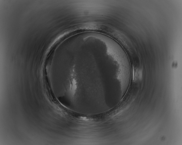 X0000102540531200808081524