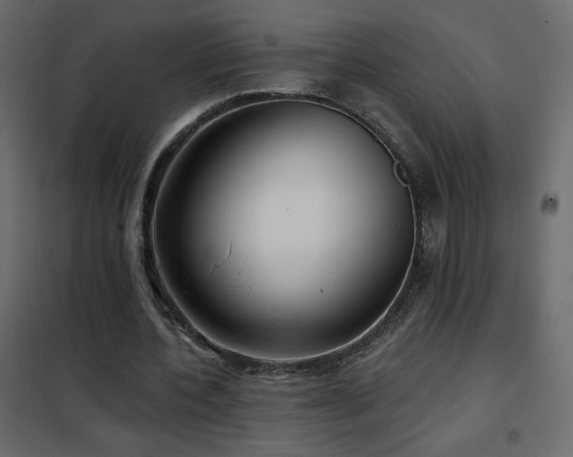 X0000102540532200808081524