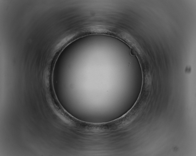 X0000102540533200808081524
