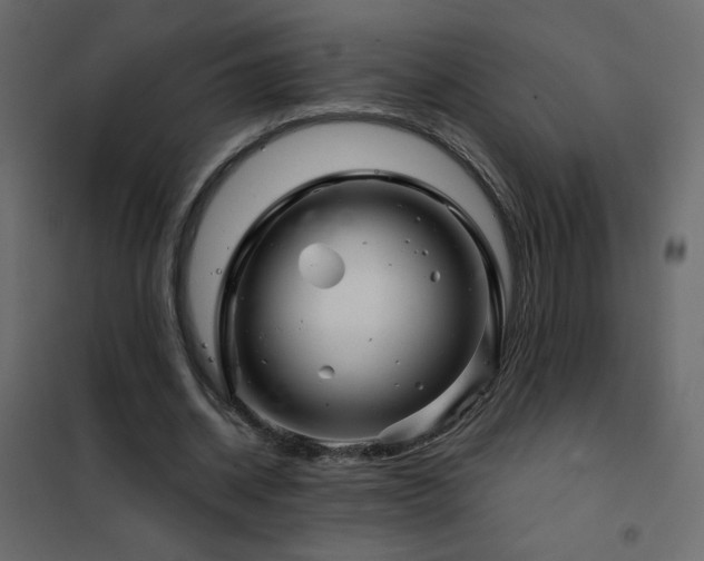 X0000102540534200808081524