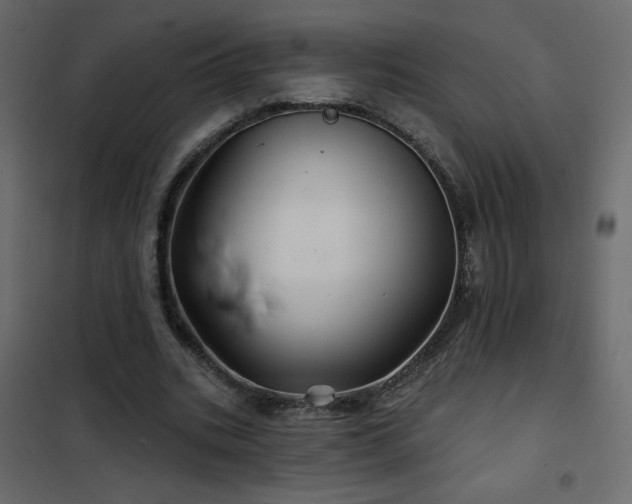 X0000102540535200808081524