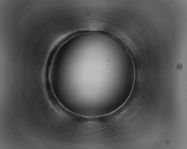 X0000102540536200808081524
