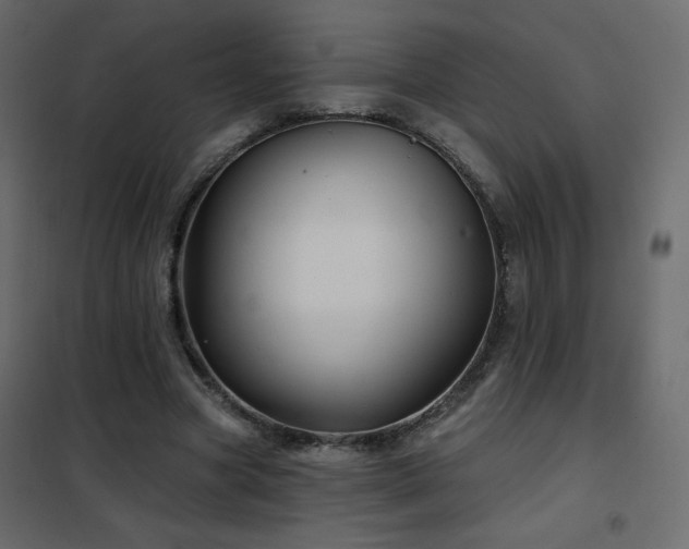 X0000102540537200808081524