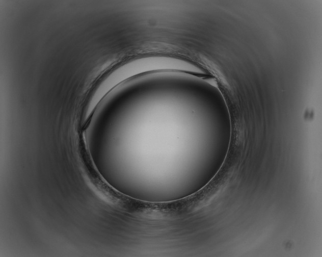 X0000102540538200808081524