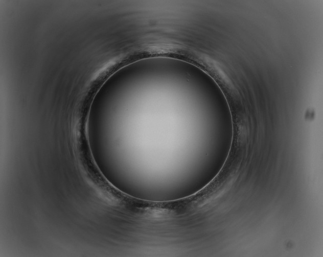 X0000102540539200808081524