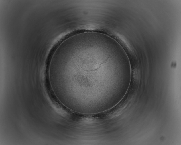 X0000102540540200808081524