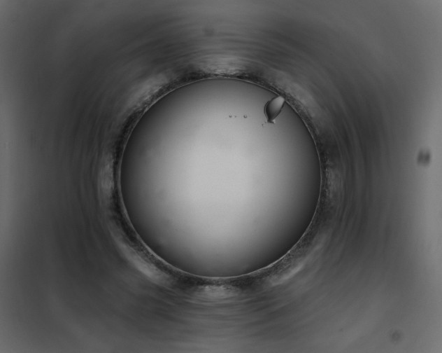 X0000102540541200808081524