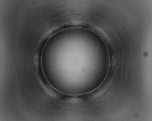 X0000102540542200808081524