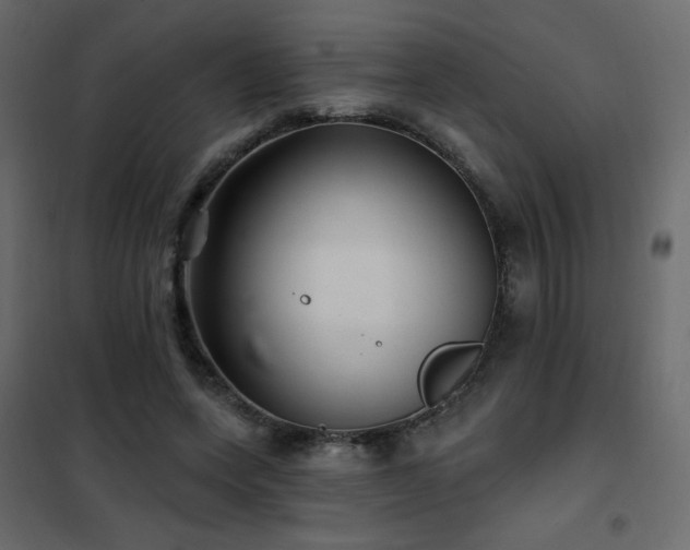 X0000102540543200808081524
