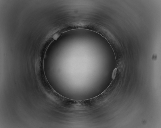 X0000102540544200808081524