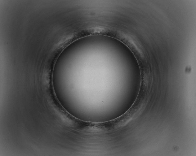 X0000102540545200808081524