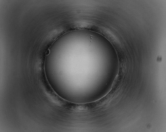 X0000102540546200808081524
