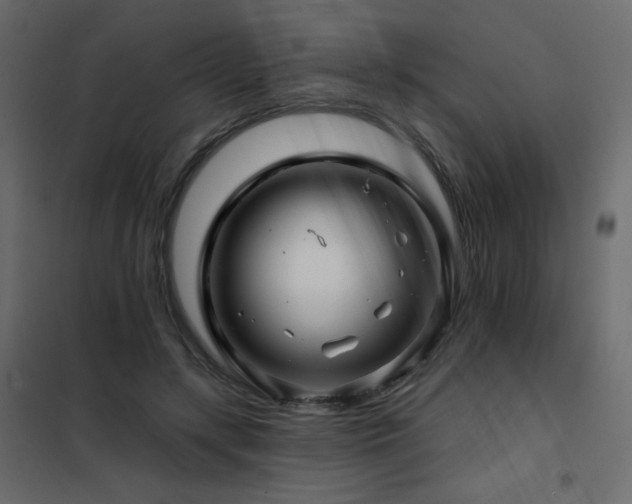 X0000102540547200808081524