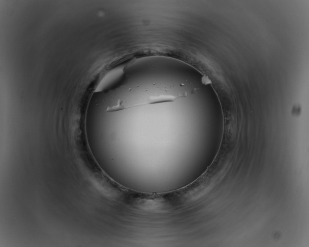 X0000102540548200808081524
