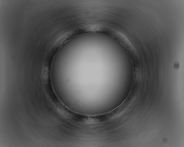 X0000102540549200808081524