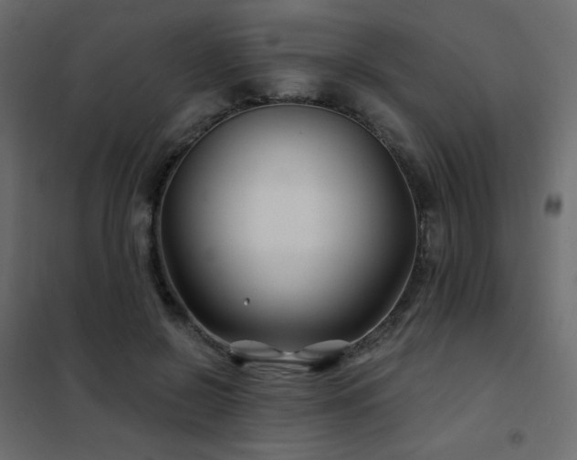 X0000102540550200808081524