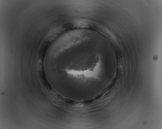 X0000102540551200808081524