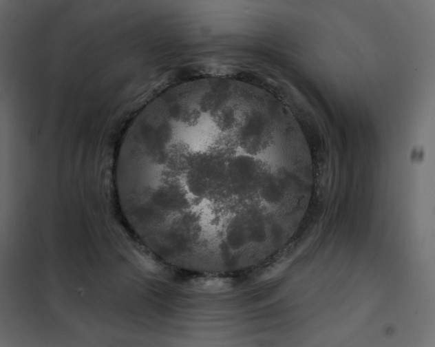 X0000102540553200808081524