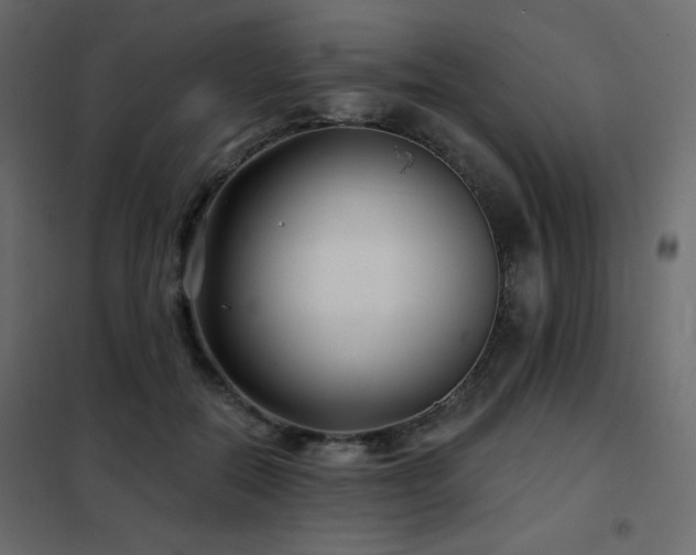 X0000102540554200808081524