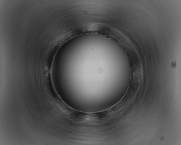 X0000102540555200808081524