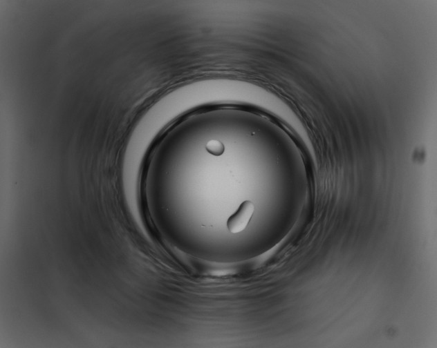 X0000102540556200808081524