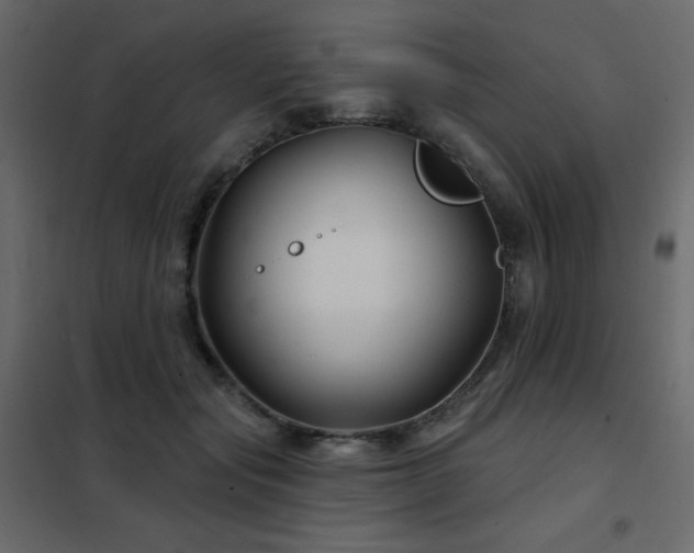 X0000102540557200808081524