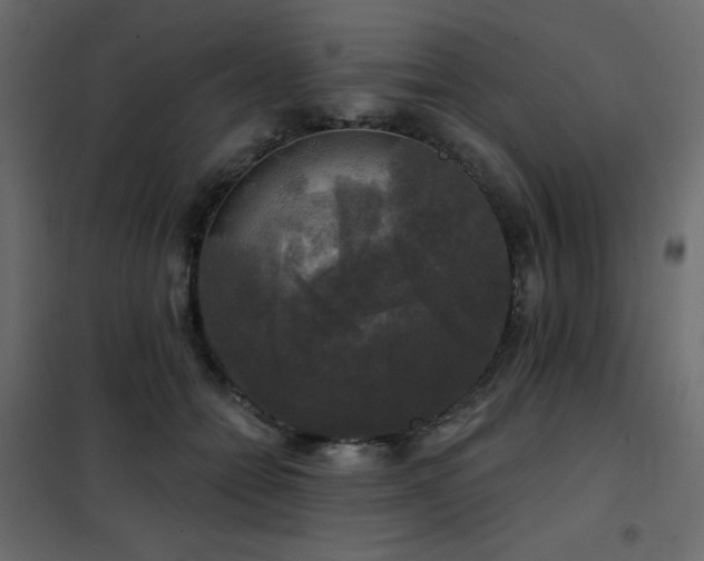 X0000102540558200808081524
