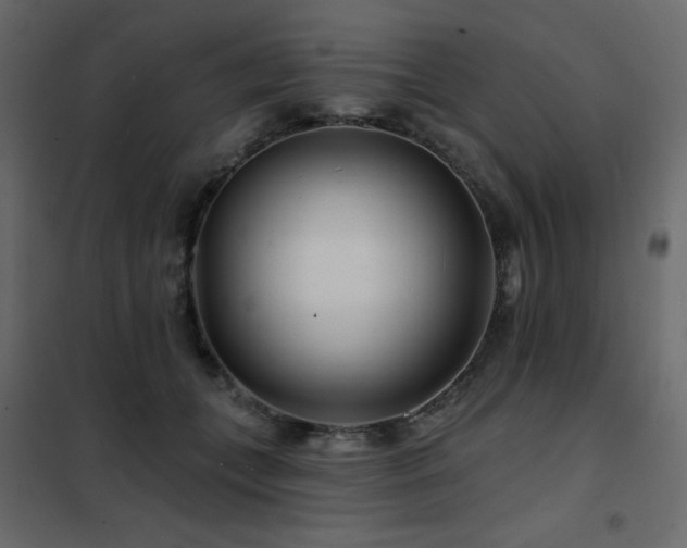 X0000102540559200808081524