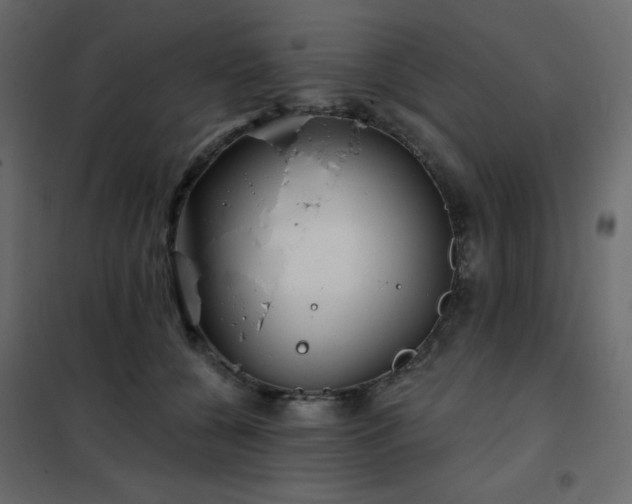 X0000102540560200808081524