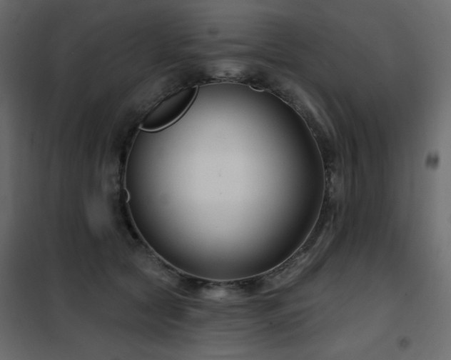 X0000102540561200808081524