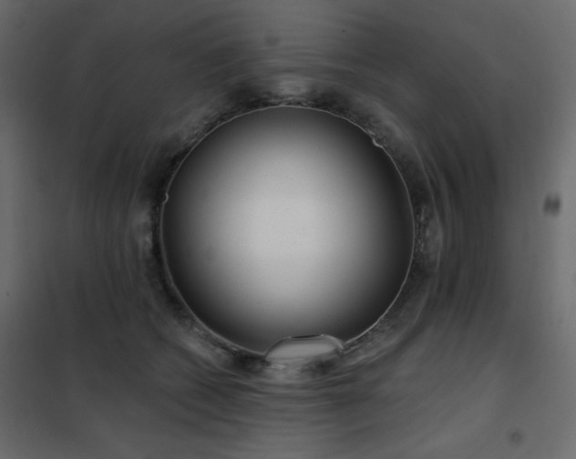 X0000102540562200808081524