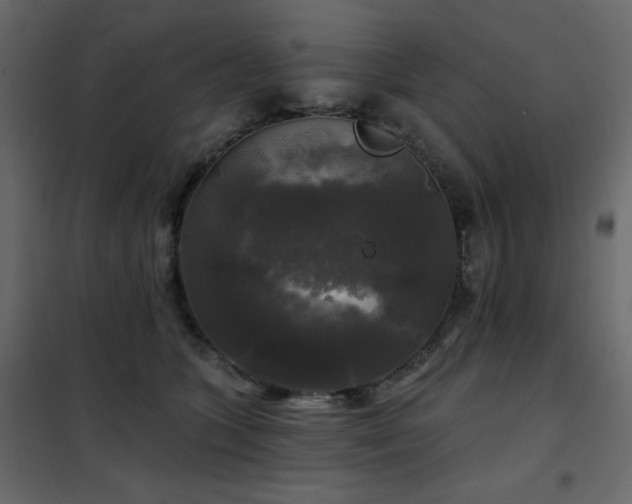 X0000102540563200808081524