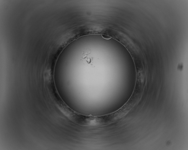 X0000102540564200808081524
