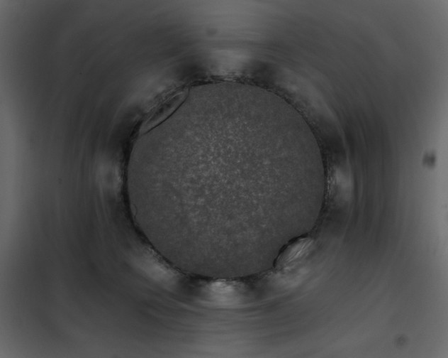 X0000102540566200808081524