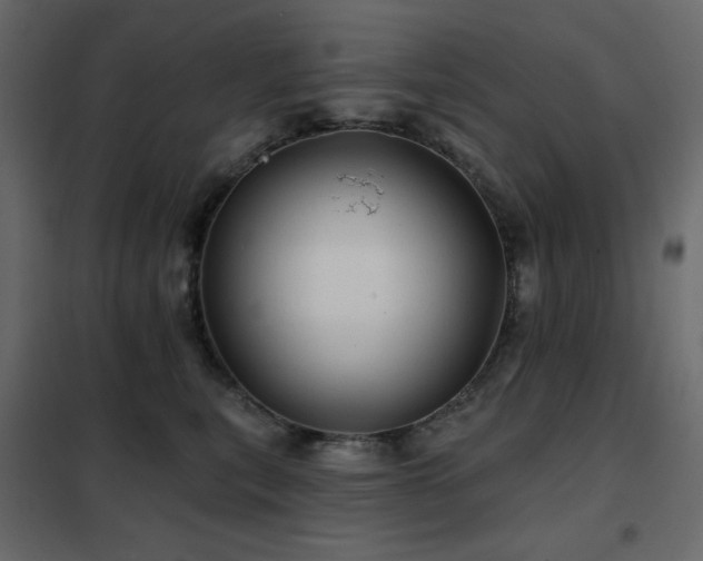 X0000102540567200808081524