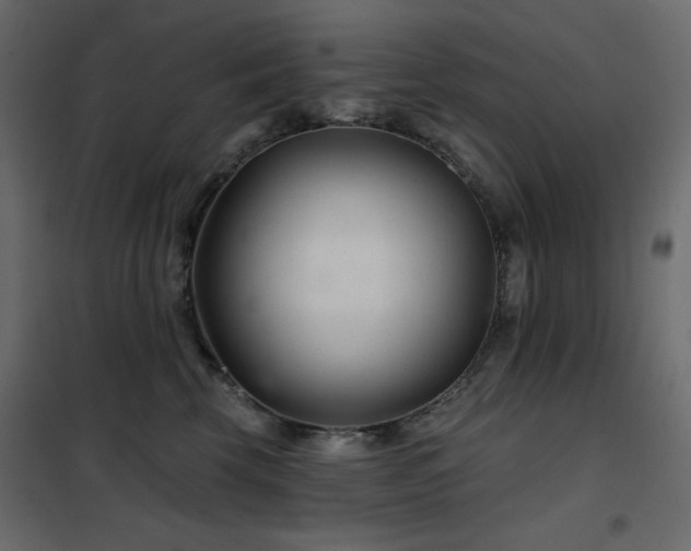 X0000102540569200808081524