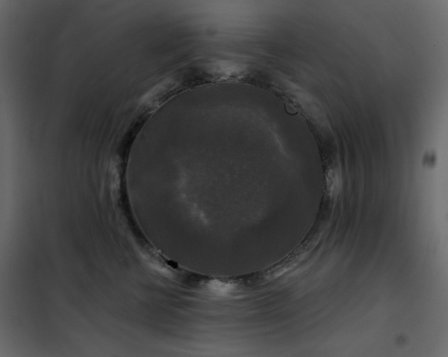 X0000102540570200808081524