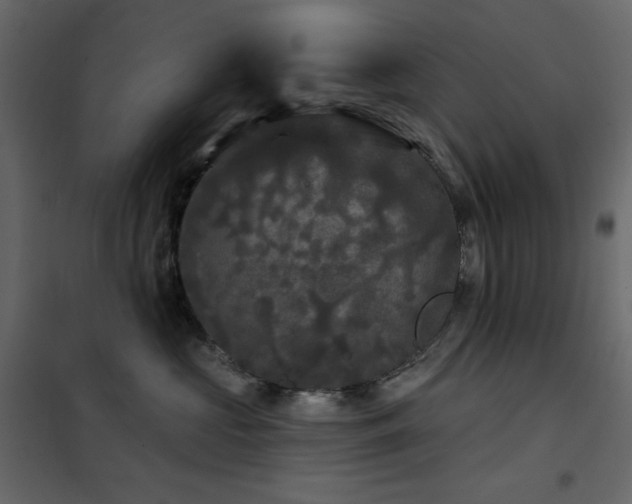 X0000102540573200808081524