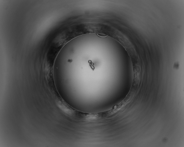 X0000102540574200808081524