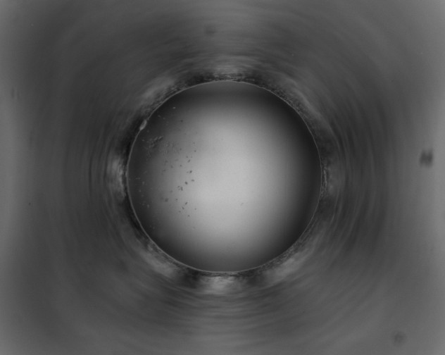 X0000102540575200808081524