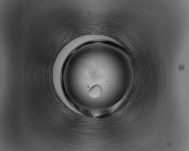 X0000102540576200808081524