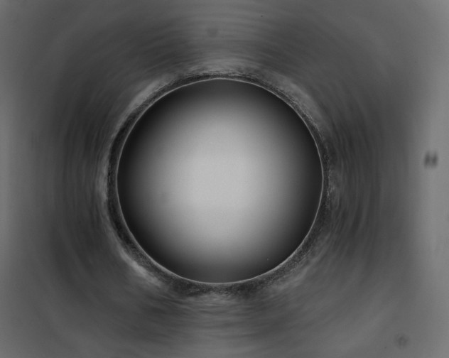 X0000102540578200808081524