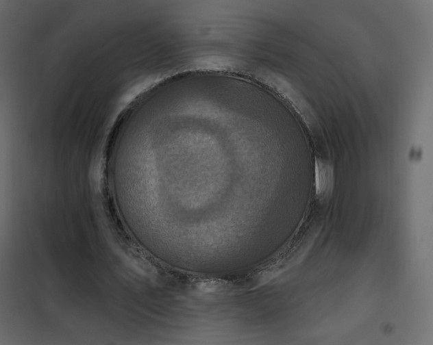 X0000102540579200808081523