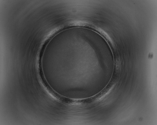 X0000102540581200808081523