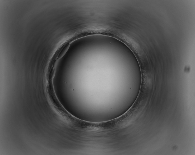 X0000102540582200808081523