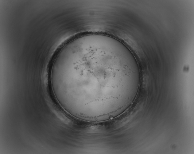 X0000102540584200808081523