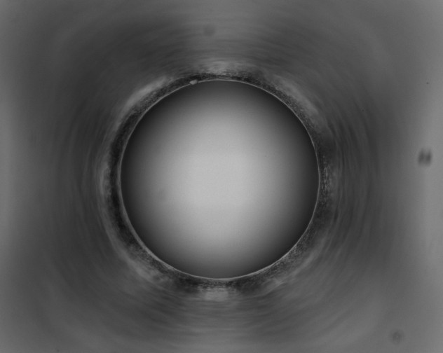 X0000102540587200808081523