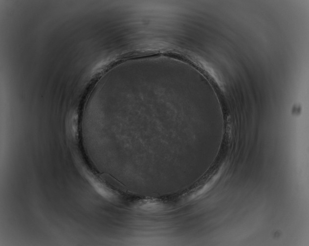 X0000102540589200808081523